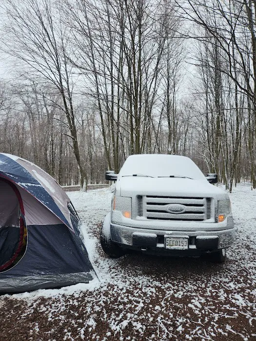 Forbes State Forest Motorized Site 6 8