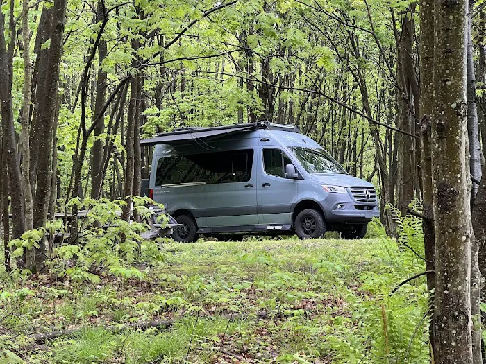 Forbes State Forest Motorized Site 6 6