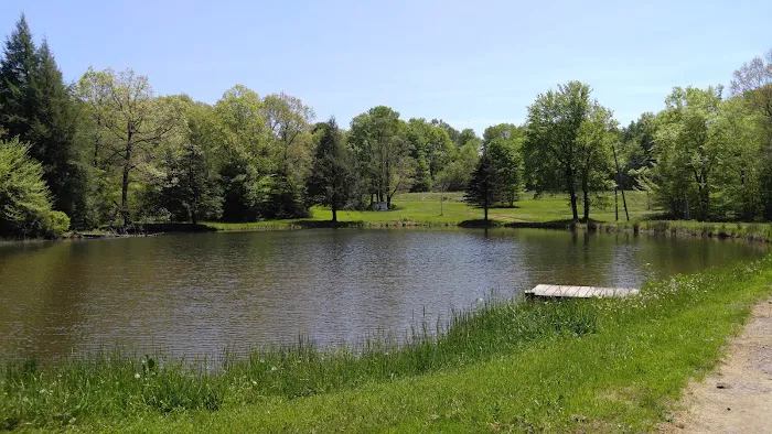 Mason-Dixon Campground 4