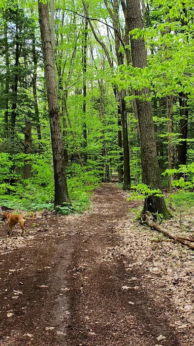 Mason-Dixon Campground 6
