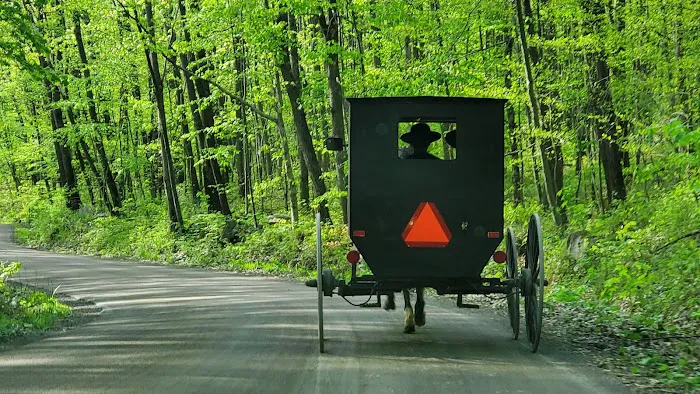 Mason-Dixon Campground 7