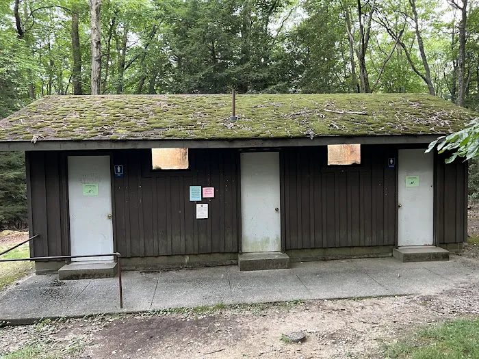 Rhododendron Camping Area 2