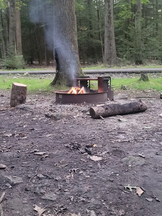 Rhododendron Camping Area 7