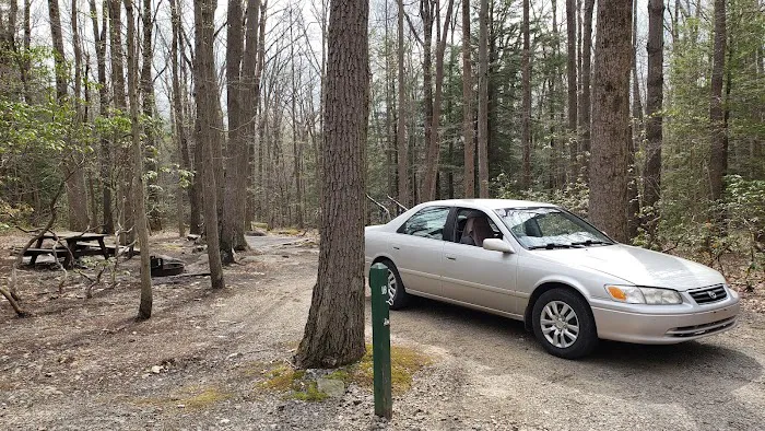 Rhododendron Camping Area 5