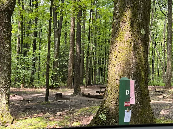 Rhododendron Camping Area 8