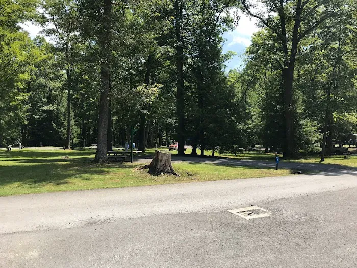 McCollum Campground 3