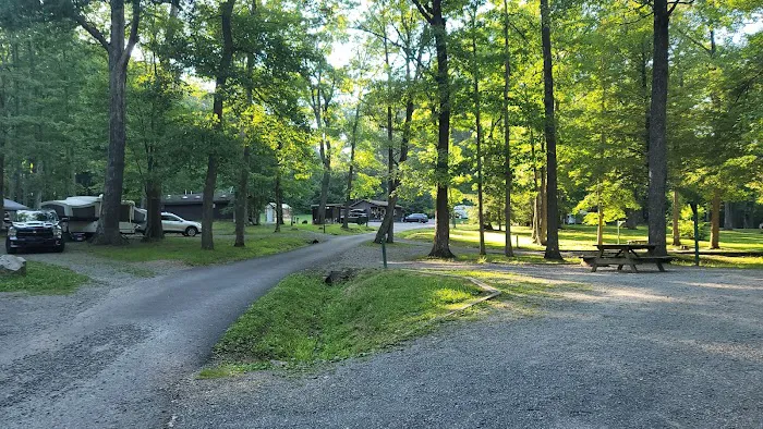 McCollum Campground 4