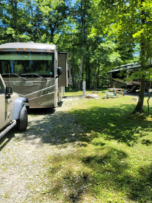 Sand Springs Campground 5
