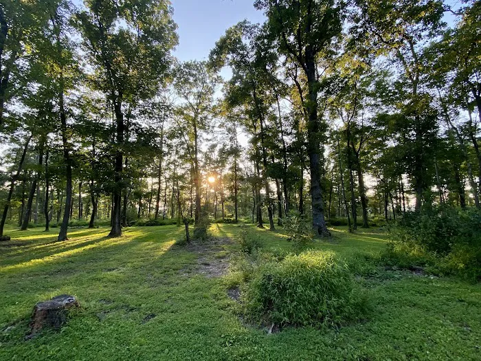 Sand Springs Campground 9