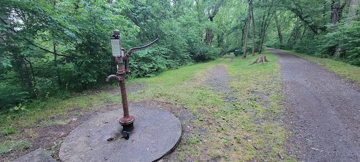 Purslane Run Campsite 1