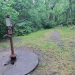 Purslane Run Campsite