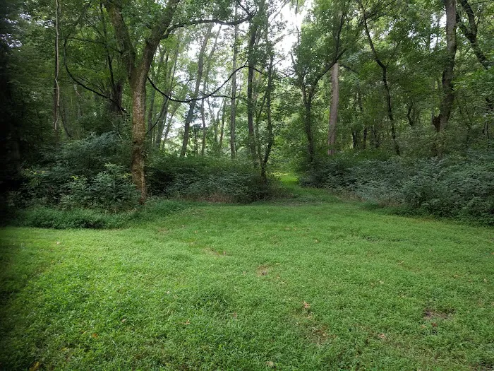 Purslane Run Campsite 2
