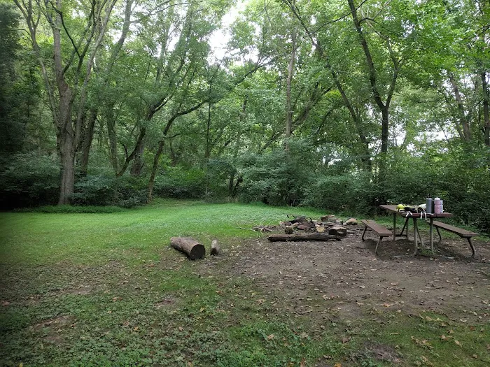 Purslane Run Campsite 4