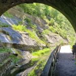 Paw Paw Tunnel Campground