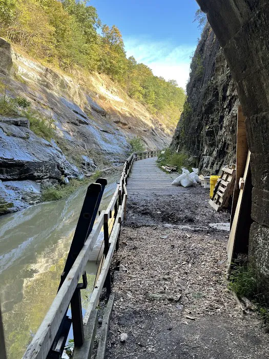 Paw Paw Tunnel Campground 9