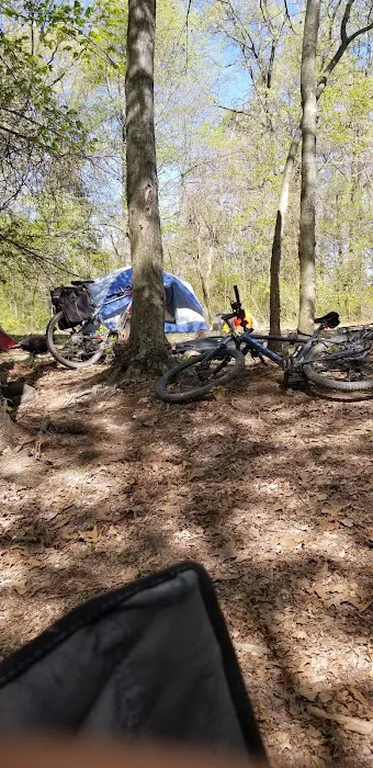 Campsite 100 1