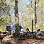 Campsite 100