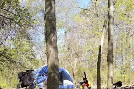 Campsite 100