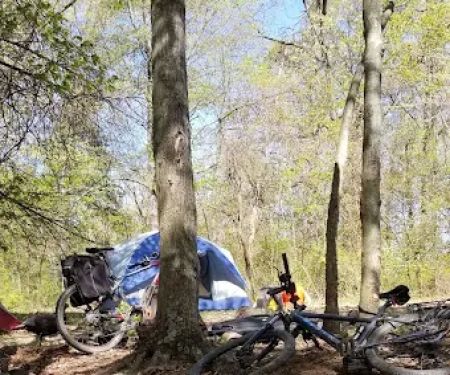 Campsite 100
