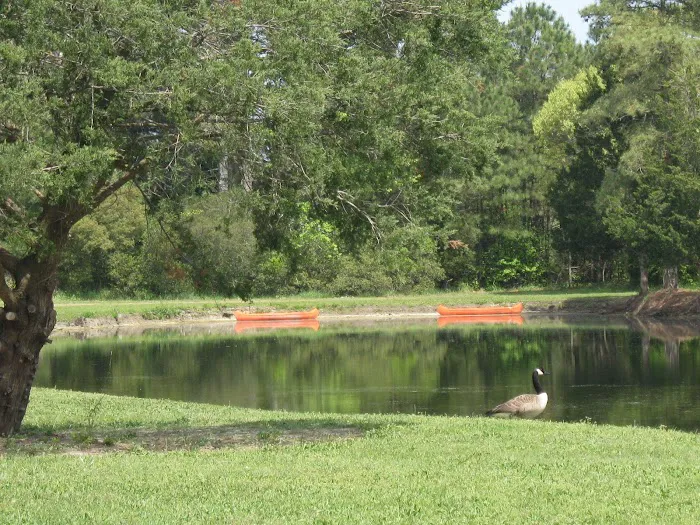 Thousand Trails Virginia Landing 5