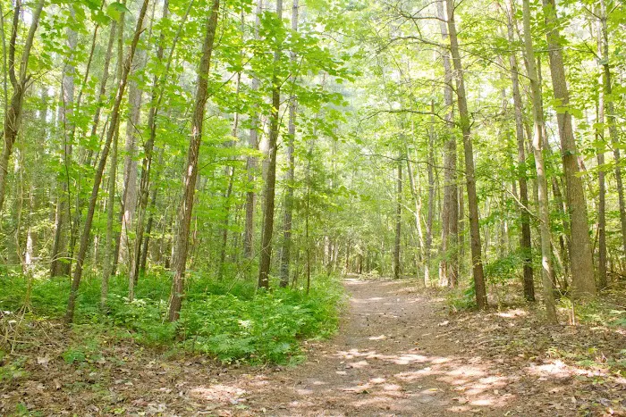 Thousand Trails Chesapeake Bay 2