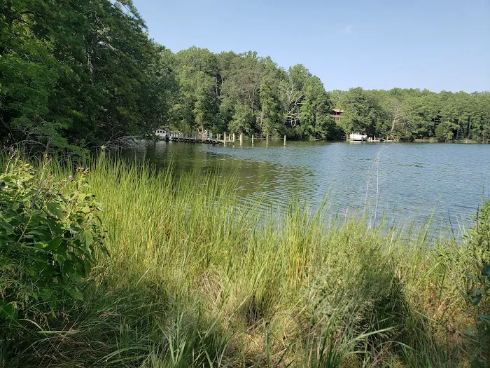 Glebe Point Campground 6