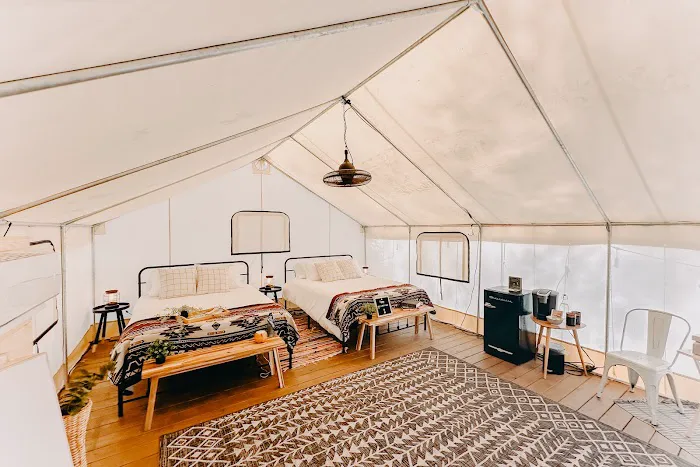 Timberline Glamping Sarasota 2