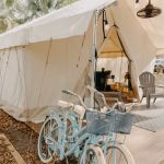 Timberline Glamping Sarasota