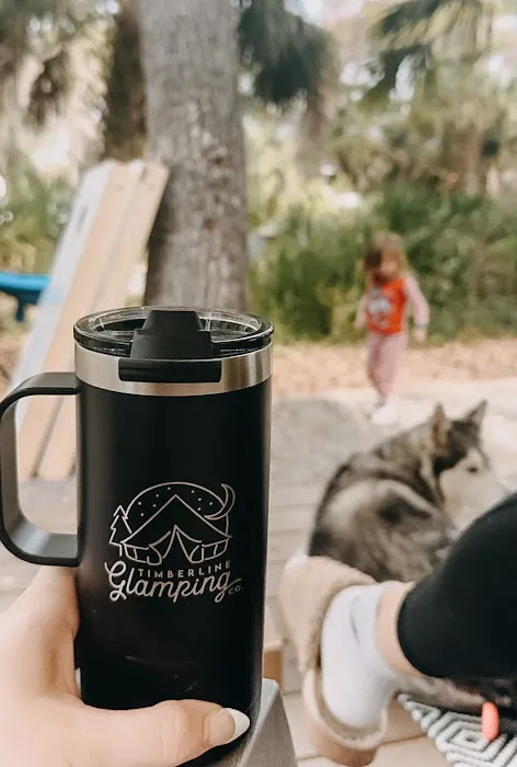 Timberline Glamping Sarasota 5