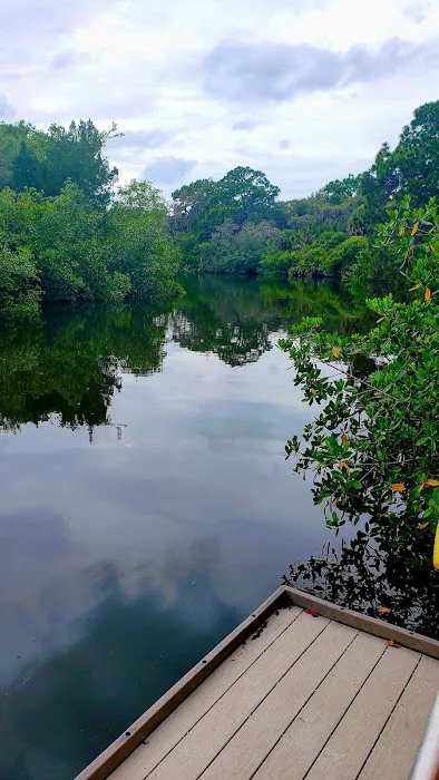 Oscar Scherer State Park Campground 1