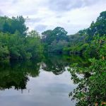 Oscar Scherer State Park Campground