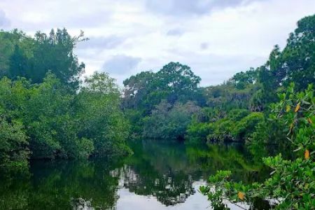 Oscar Scherer State Park Campground
