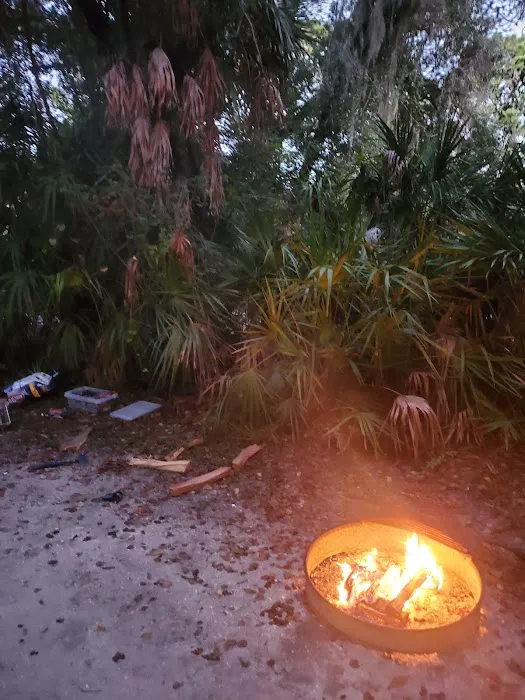 Oscar Scherer State Park Campground 8
