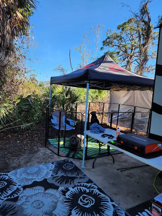 Oscar Scherer State Park Campground 10