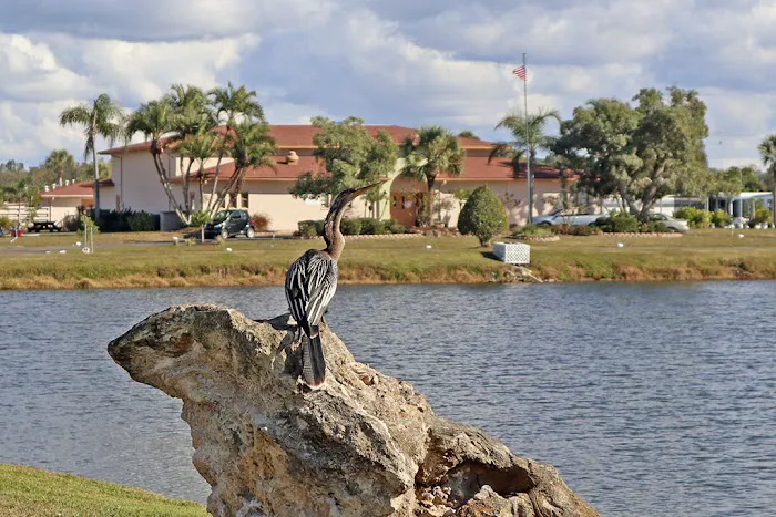 Spanish Lakes Mobile Home Park 4