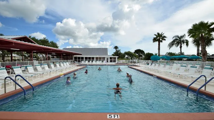 Savanna Club 8