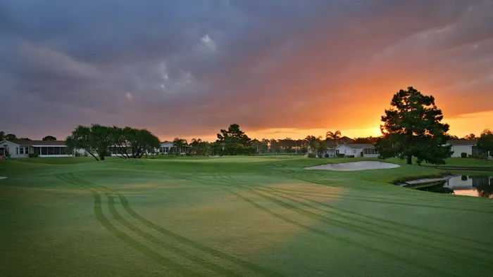 Savanna Club 5