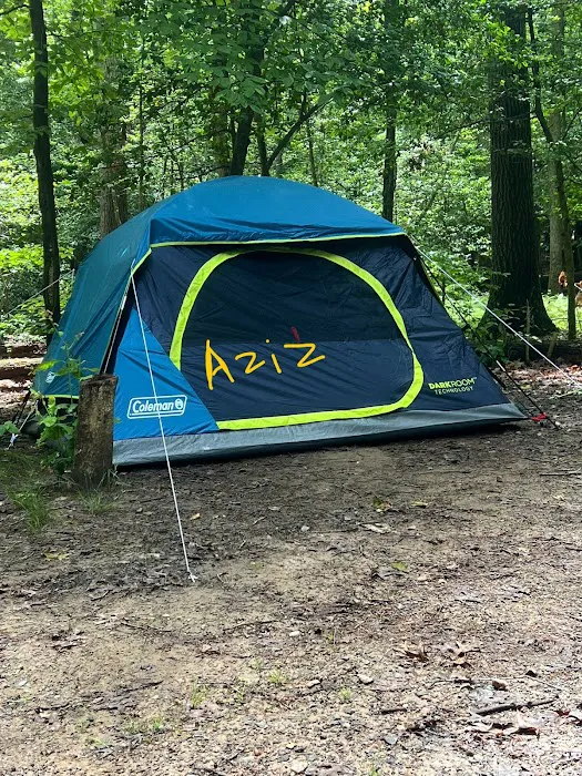 Burke Lake Campgrounds 5