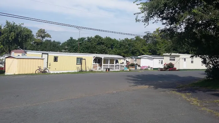 Trailer Park 1