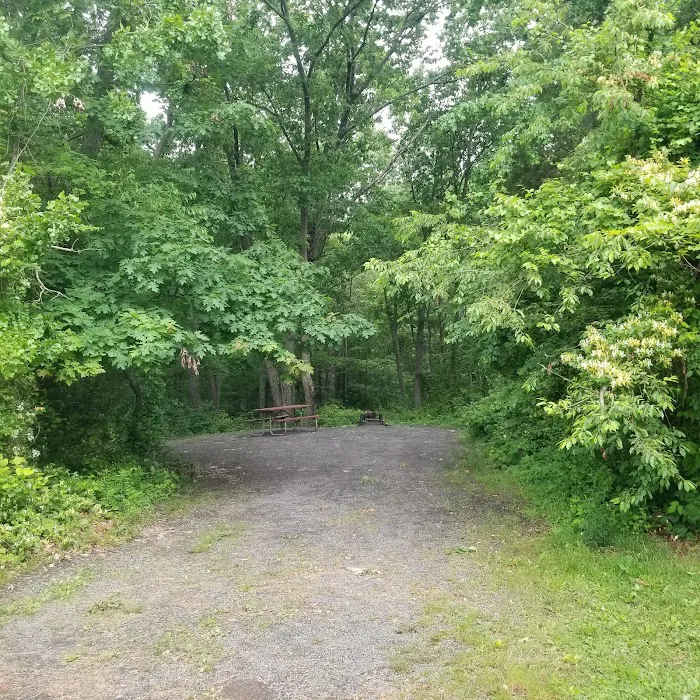 Lake Fairfax Park Campground 9
