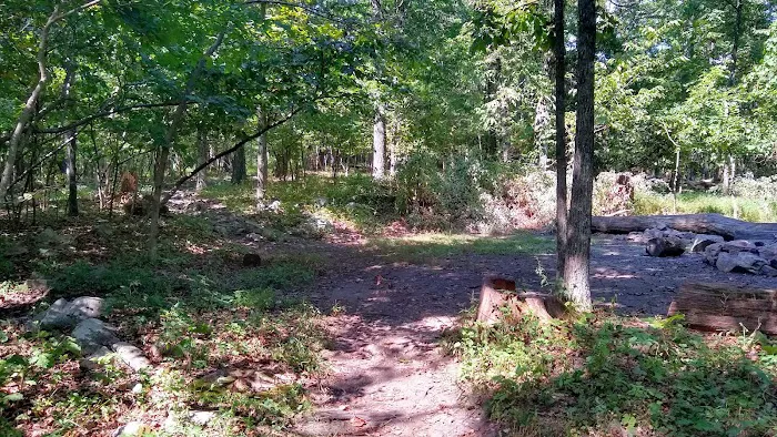 AT Campsite 10