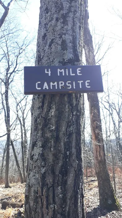 AT Campsite 8