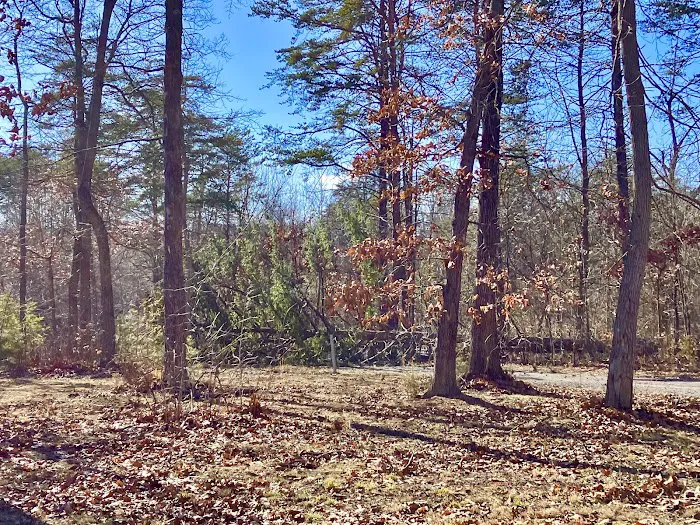 Silverville RV Park All Year Rental 4