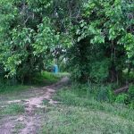 Milltown Landing Campsite