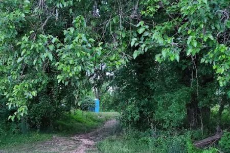 Milltown Landing Campsite