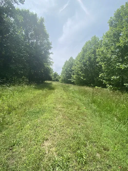 Milltown Landing Campsite 3