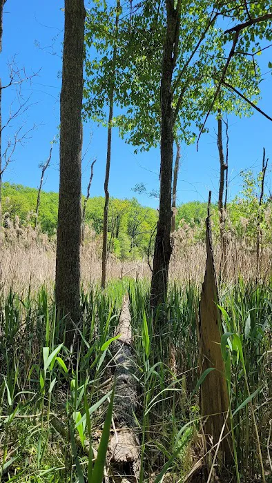 Calvert Cliffs Campground 2