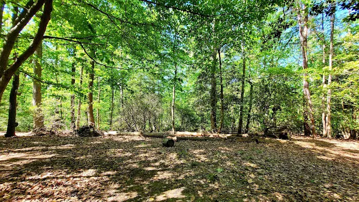 Calvert Cliffs Campground 6
