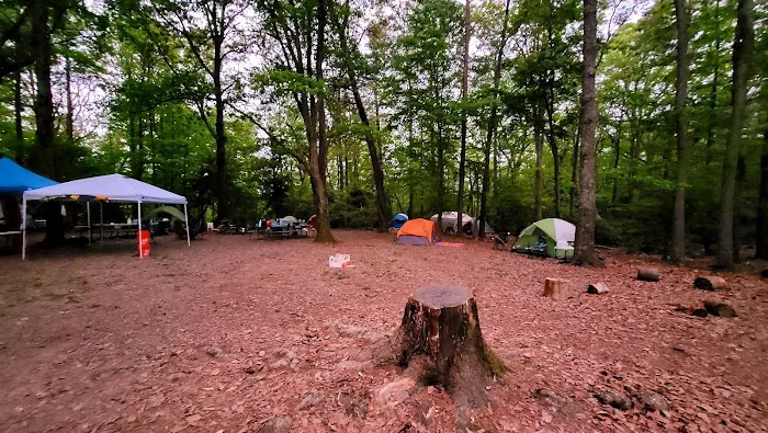 Calvert Cliffs Campground 7