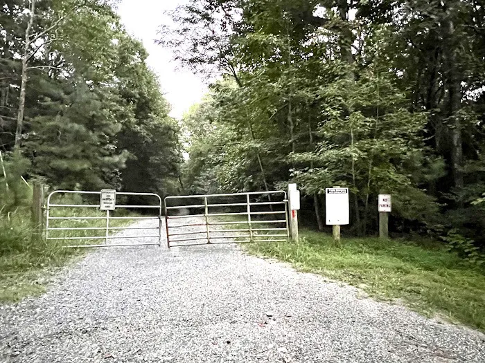 Calvert Cliffs Campground 10
